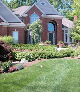 American Homes and Gardens Magazine, Pesonalized Mini Gardens